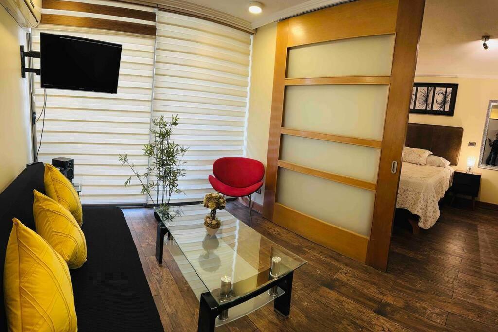 Appartamento Lindo Y Comodo Dpto Providencia 6